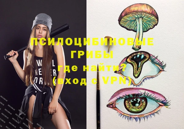 марки lsd Инсар