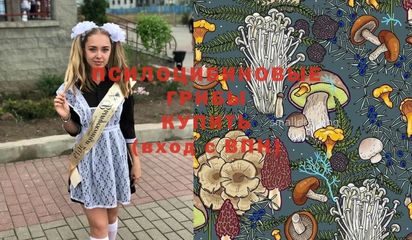 молекула духа Каменск-Шахтинский