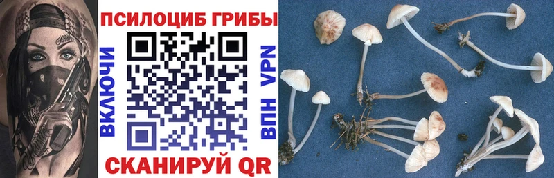 Галлюциногенные грибы MAGIC MUSHROOMS  Купить  Белоозёрский 
